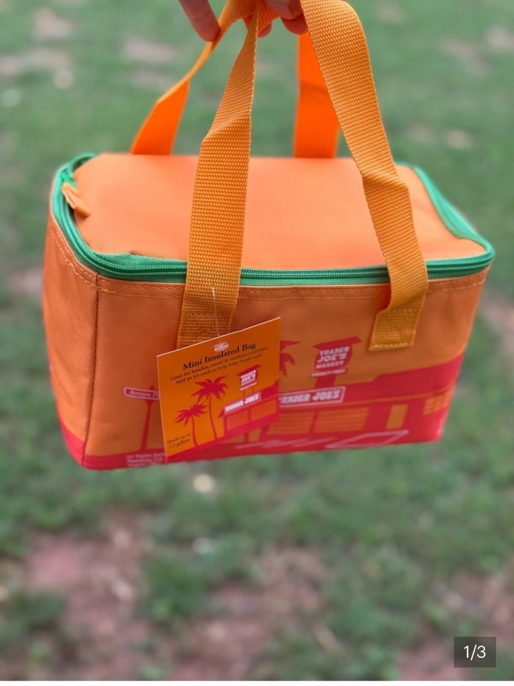 NWT SUMMER Release Trader Joe's Orange & Pink Mini Insulated tote.